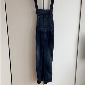Free people denim overalls